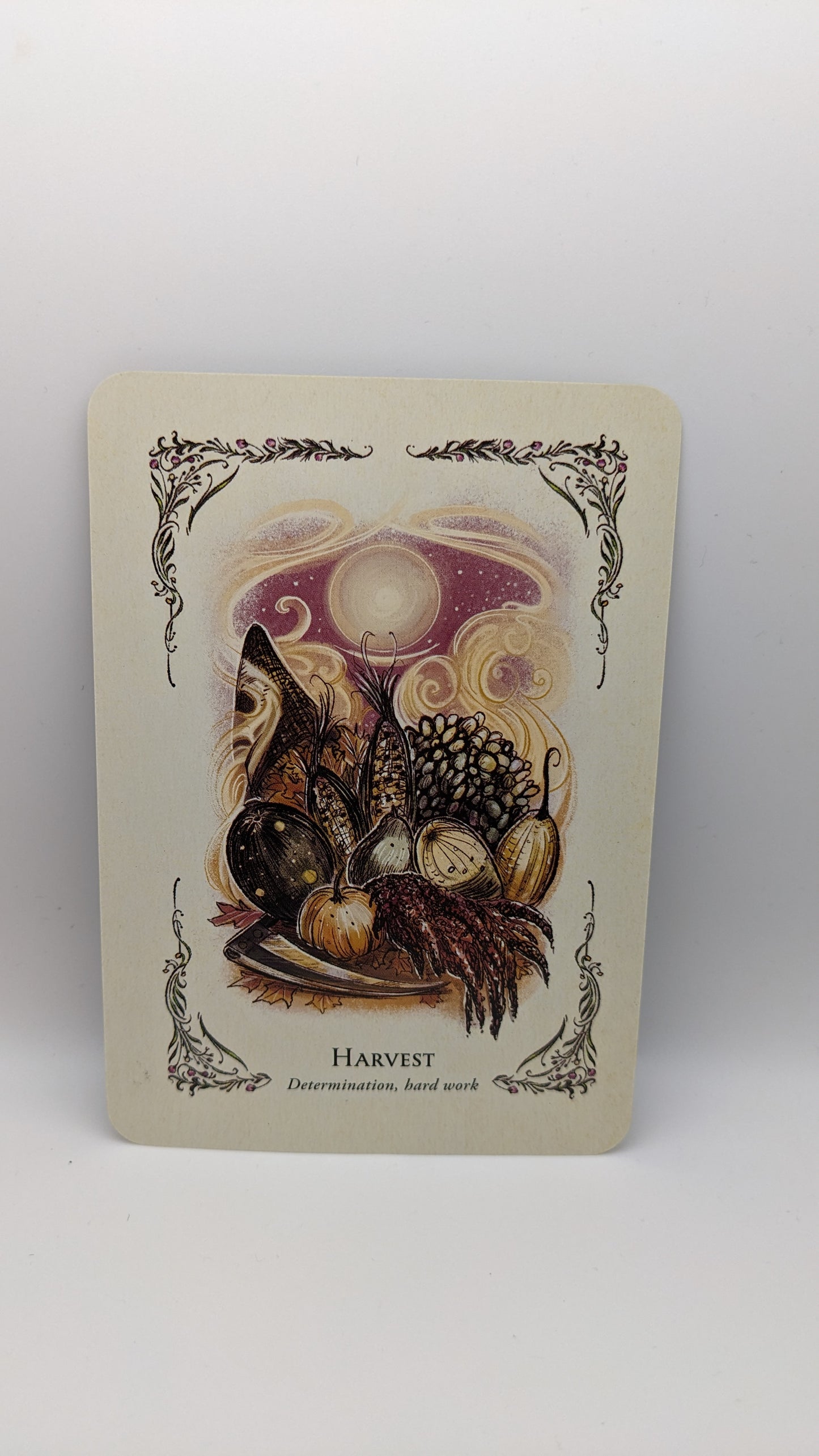 Card Reading (Oracle)