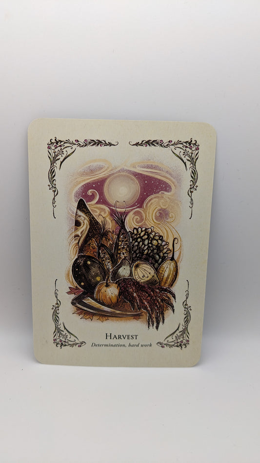 Card Reading (Oracle)