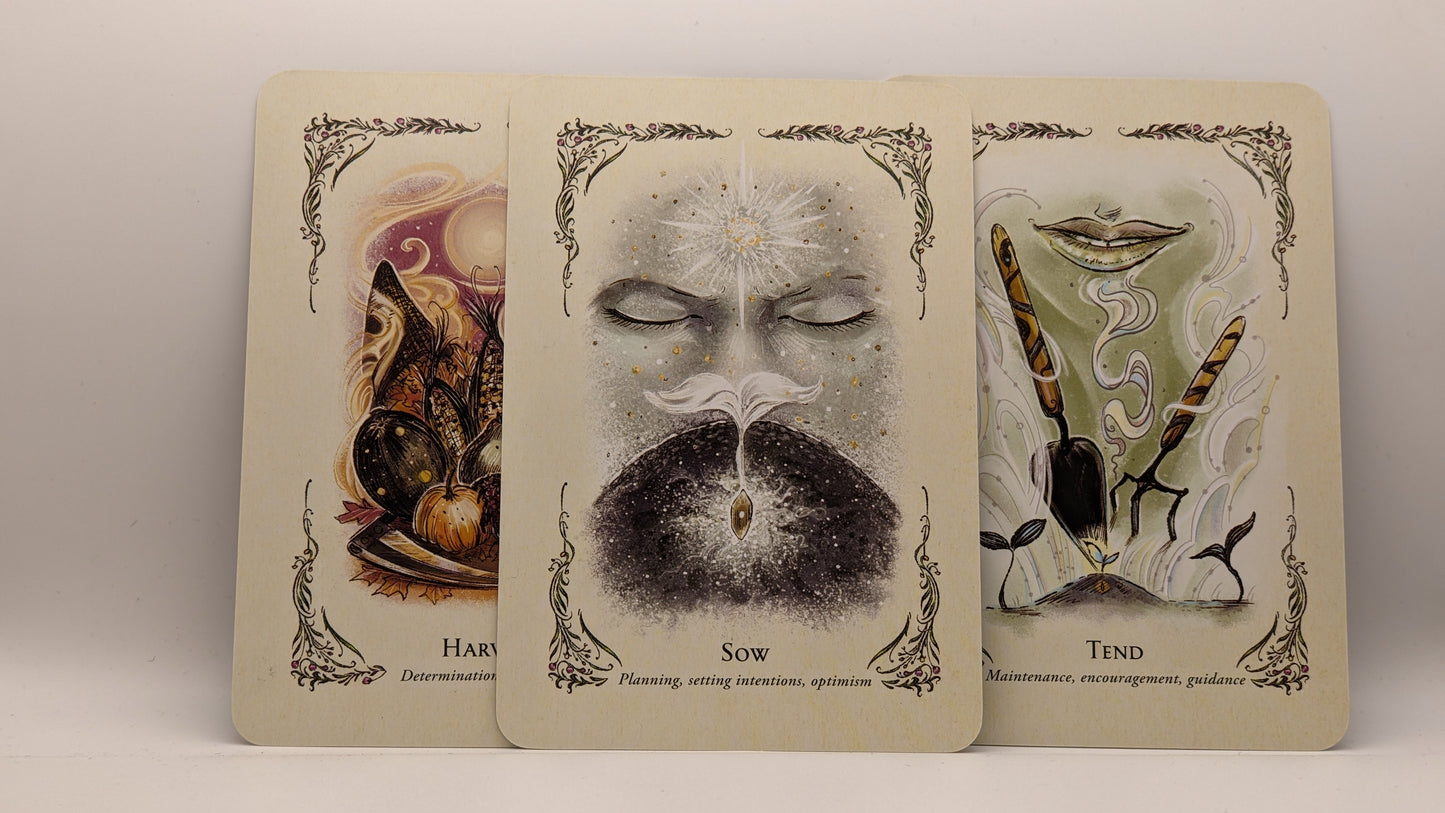 Card Reading (Oracle)