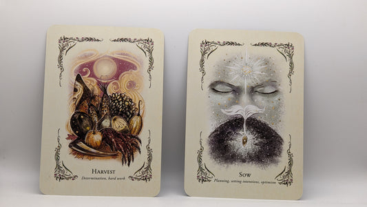 Card Reading (Oracle)